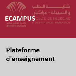 ecampus2