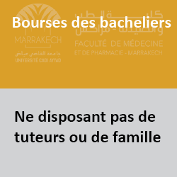 bourses