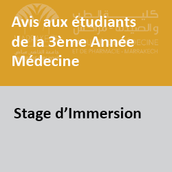 stageimm3