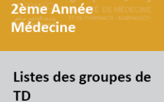 TDmedANNee