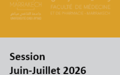 dsm233