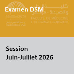 dsm233