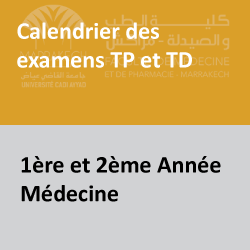 tptd12