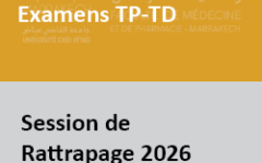 tptds2026rat
