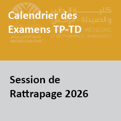 tptds2026rat