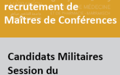 MCmilitaires