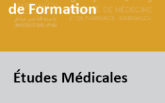 prgMED