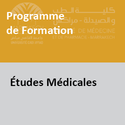 prgMED