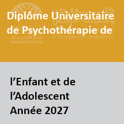 PedoPSy2027