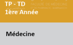 TpTdMed2026