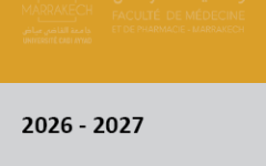 doc2026
