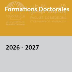 doc2026