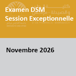 dsmNov2026